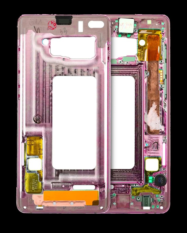 Frame centrale per Samsung Galaxy S10 (con minuteria) (Flamingo Rosa)