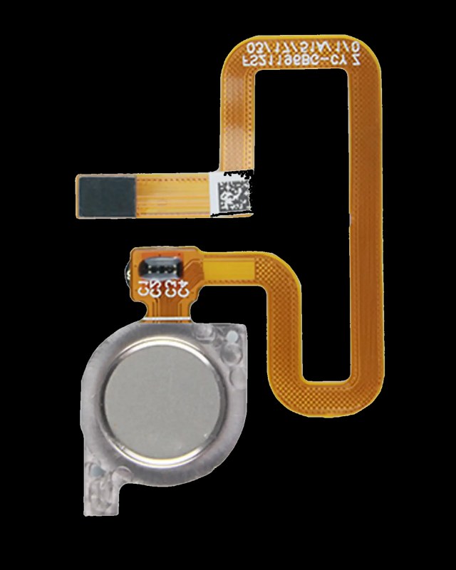 Fingerprint Reader con flat per Huawei Y7 Pro (2018) (Oro)