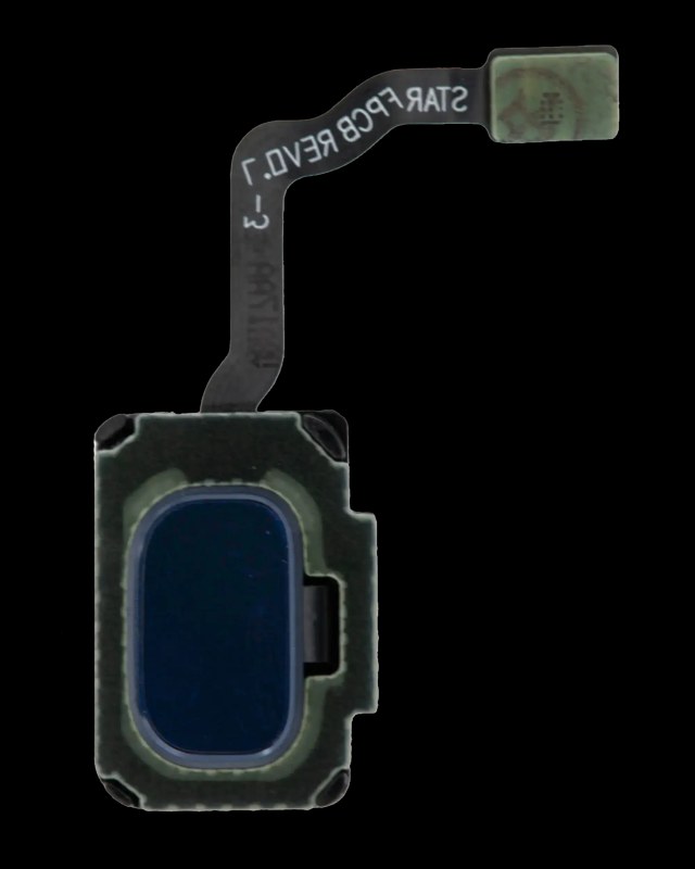 Fingerprint Reader con flat per Samsung Galaxy S9 / S9 Plus (Coral Blu)