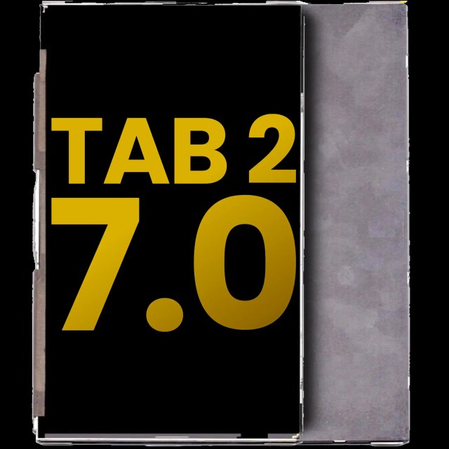 LCD Only per Samsung Galaxy Tab 2 7.0"