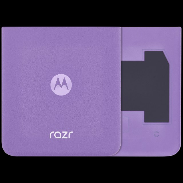 Bottom vetro cover posteriore per Motorola Razr / Razr 40 (XT2323 / 2023) (Service Pack) (Grape Compote)