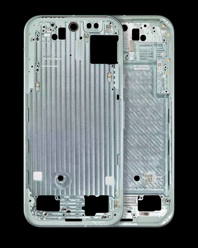 Frame centrale per Google Pixel 9 (Wintergreen)