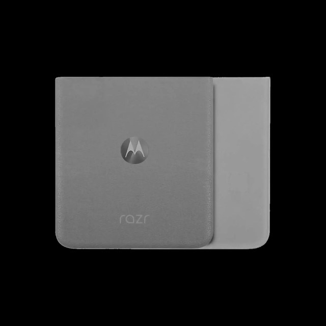 vetro cover posteriore per Motorola Razr / Razr 50 (XT2453 / 2024) (Service Pack) (Koala Grigio)