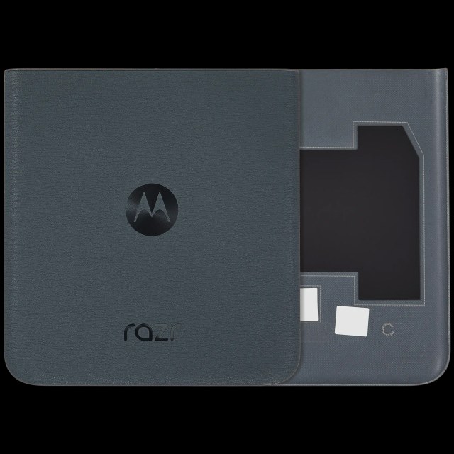 Cover posteriore per Motorola Razr 40 (XT2323 / 2023) (Premium) (Verde salvia Verde)