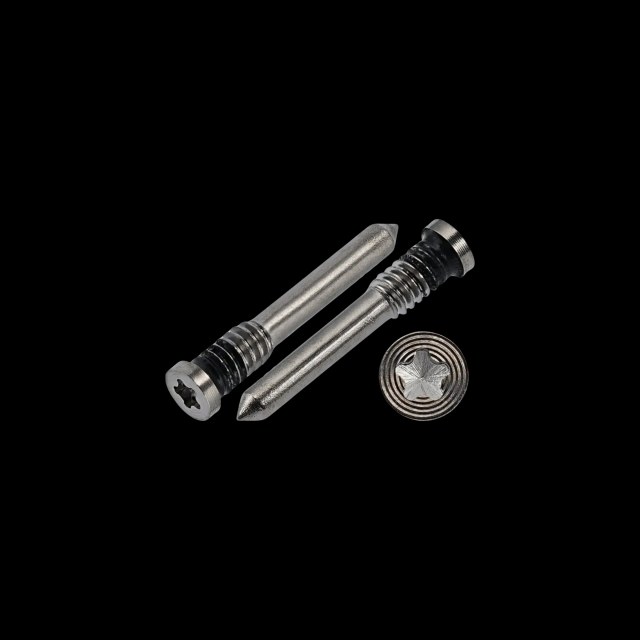 Security Vite per iPhone 12 / 12 mini / 13 / 13 mini (100 pezzi) (Service Pack) (Argento)