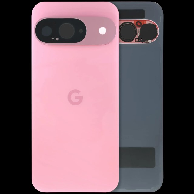 vetro cover posteriore con Vetro fotocamera per Google Pixel 9 (Used Service Pack Pull: grado A) (Peony)