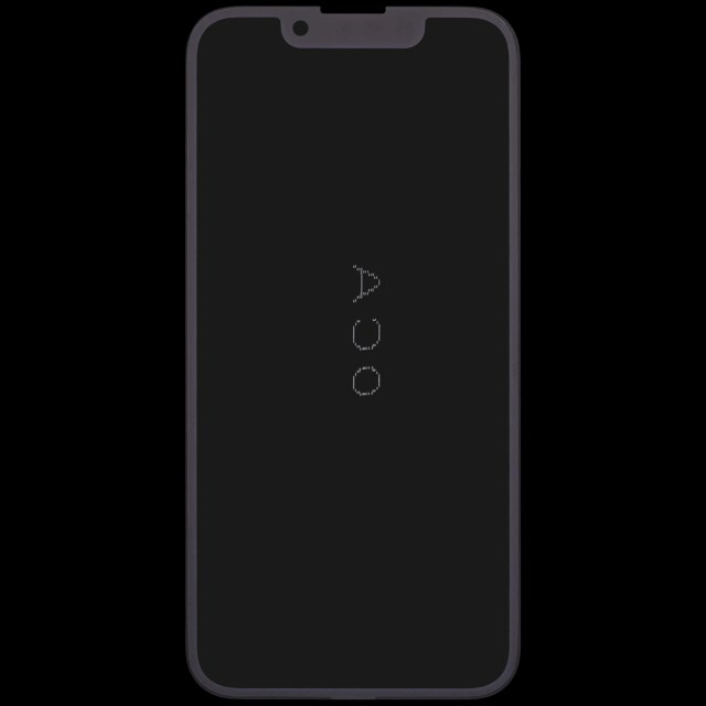2 in 1 (vetro + OCA preinstallato) per iPhone 13 Mini (10 pezzi)