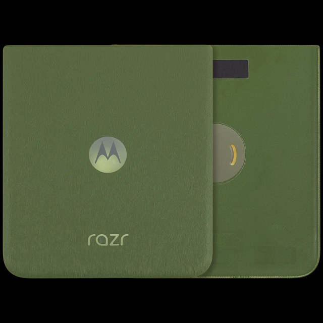 vetro cover posteriore per Motorola Razr Plus / Razr 50 Ultra (XT2451 / 2024) / Razr Plus 2025 (XT2557 / 2025) (Premium) (Spring Verde)