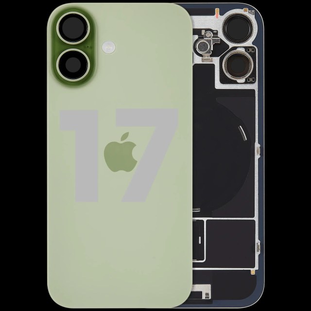 Vetro posteriore con magnete MagSafe, NFC e flat flash per iPhone 17 (Used Service Pack Pull: Grade C) (Verde salvia )
