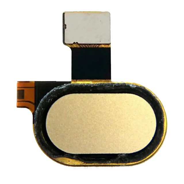 Tasto Home con flat per Motorola Moto G5 (XT1670 / 2017) (Oro)