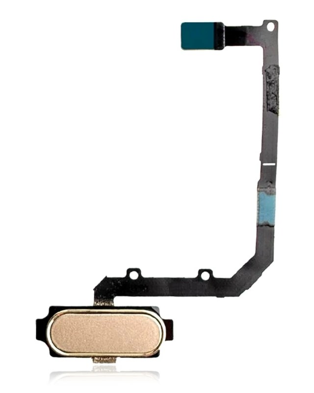 Tasto Home flat per Samsung Galaxy A9 Pro (A910 / 2016) (Oro)