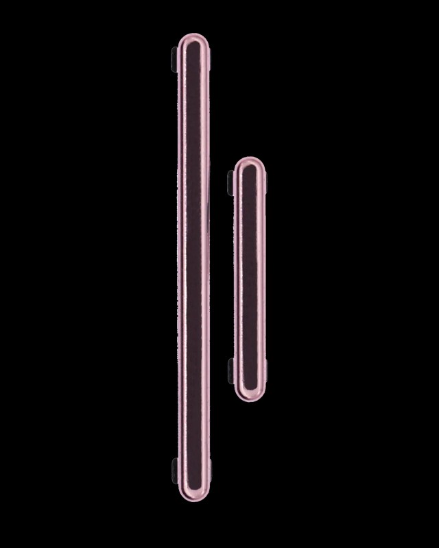 Hard Buttons (Accensione / Volume) per Samsung Galaxy S21 Ultra (Phantom Brown)