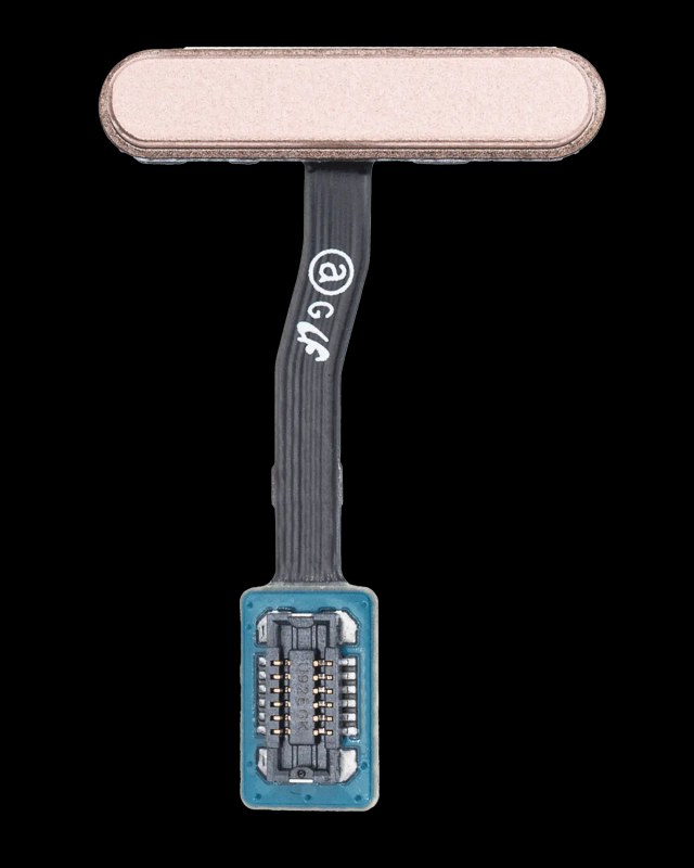 Power e Fingerprint Reader con flat per Samsung Galaxy S10E (Flamingo Rosa)