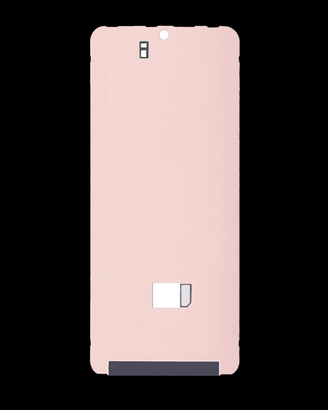 schermatura termica adesivo per Samsung Galaxy S21 Plus (10 pezzi)
