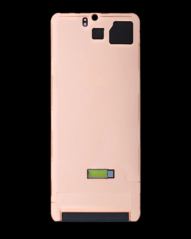 schermatura termica adesivo per Samsung Galaxy S20 Plus (10 pezzi)