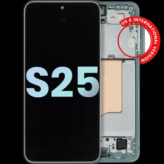 Display OLED completo con Frame per Samsung Galaxy S25 5G (US e International) (Service Pack) (Mint)