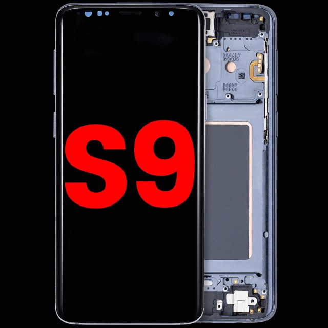 Display OLED completo con Frame per Samsung Galaxy S9 (Titanio Grigio)