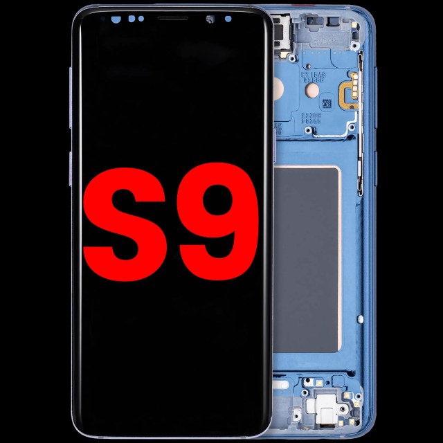 Display OLED completo con Frame per Samsung Galaxy S9 (Coral Blu)