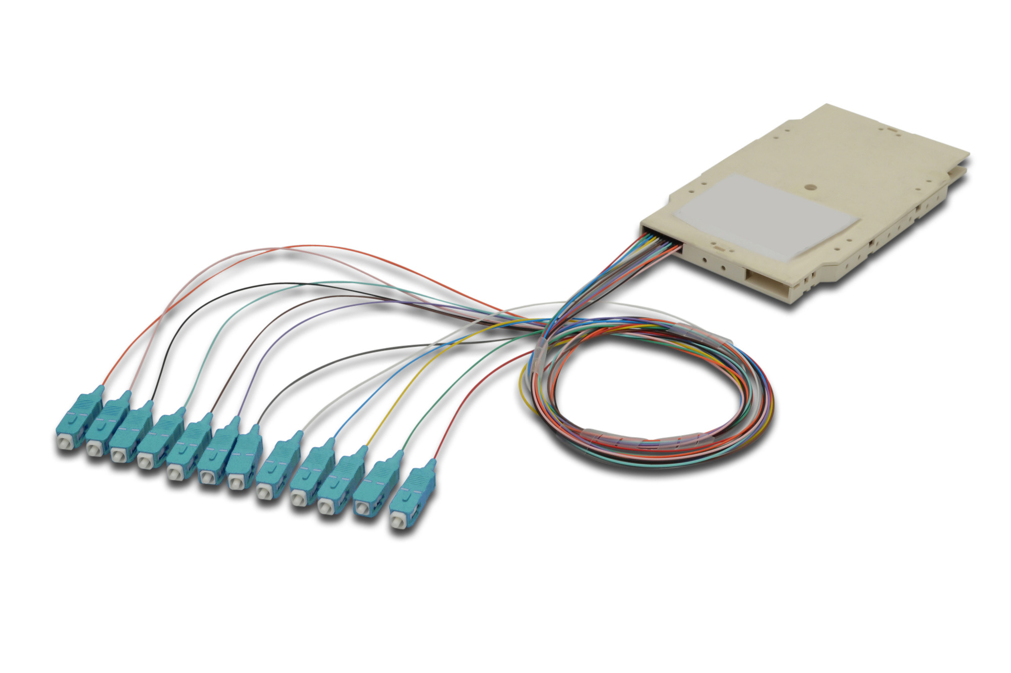 Cassetta di Giunzione Attrezzata con 12 Pigtail Fibra Multimodale OM3 SC 50/125 2m