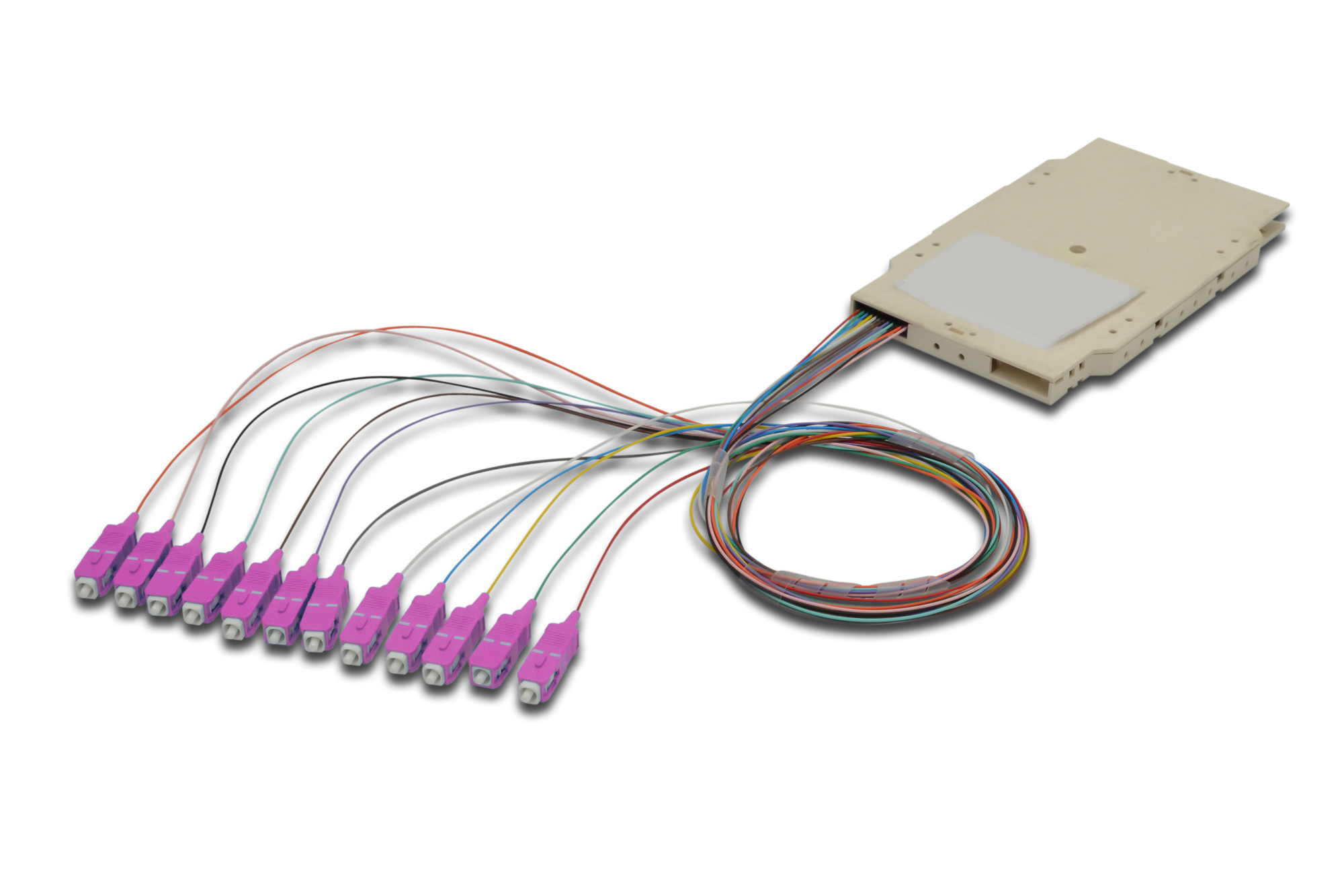 Cassetta di Giunzione Attrezzata con 12 Pigtail Fibra Multimodale OM4 SC 50/125 2m