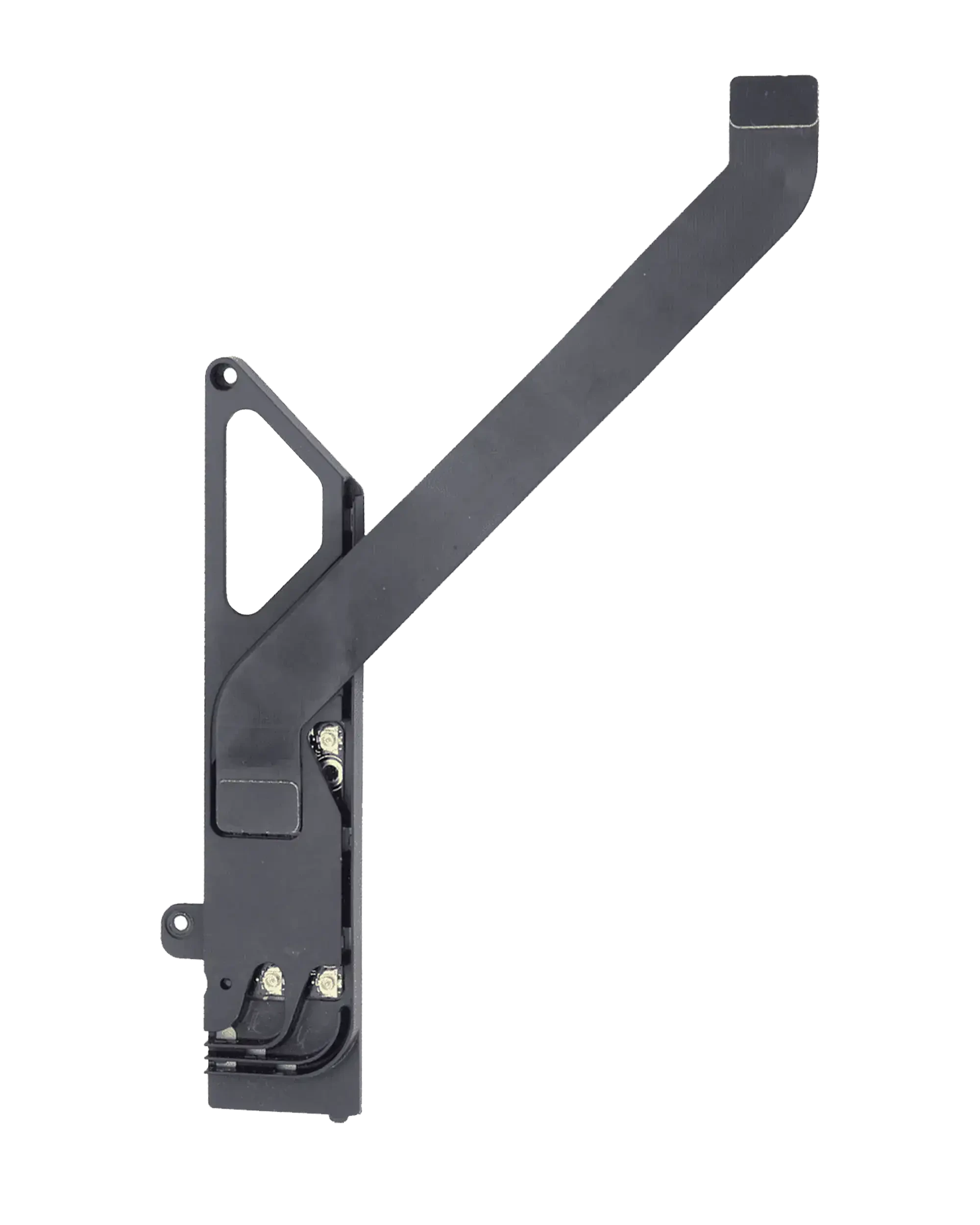 Gruppo scheda AirPort per MacBook Pro 15" A1286 (2010)