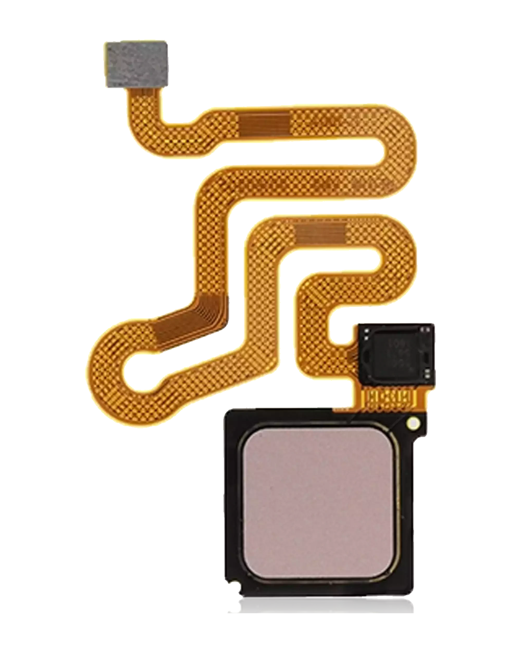 Fingerprint Reader con flat per Huawei P9 (Oro rosa / Rosso)