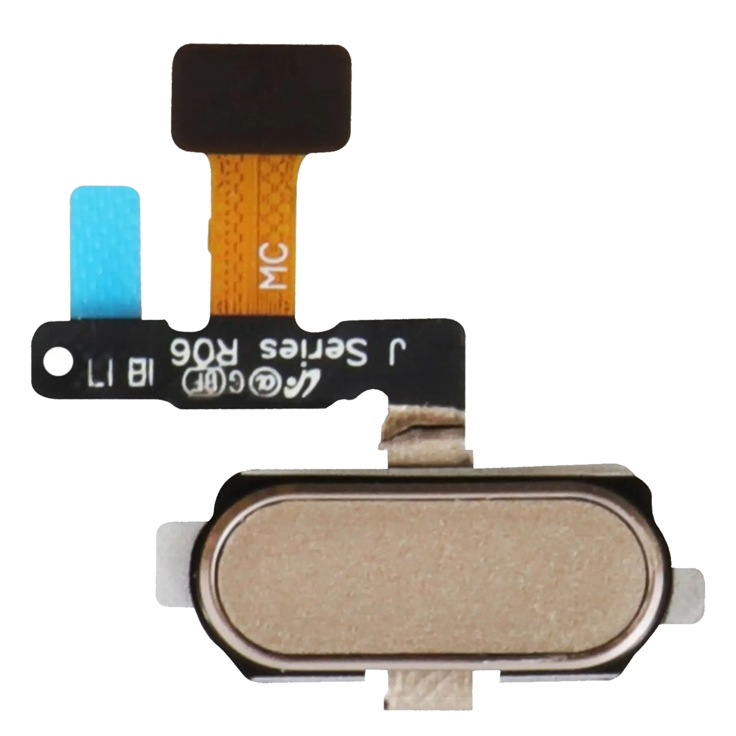 Fingerprint Reader con flat per Samsung Galaxy J7 Pro (J730 / 2017) (Oro)