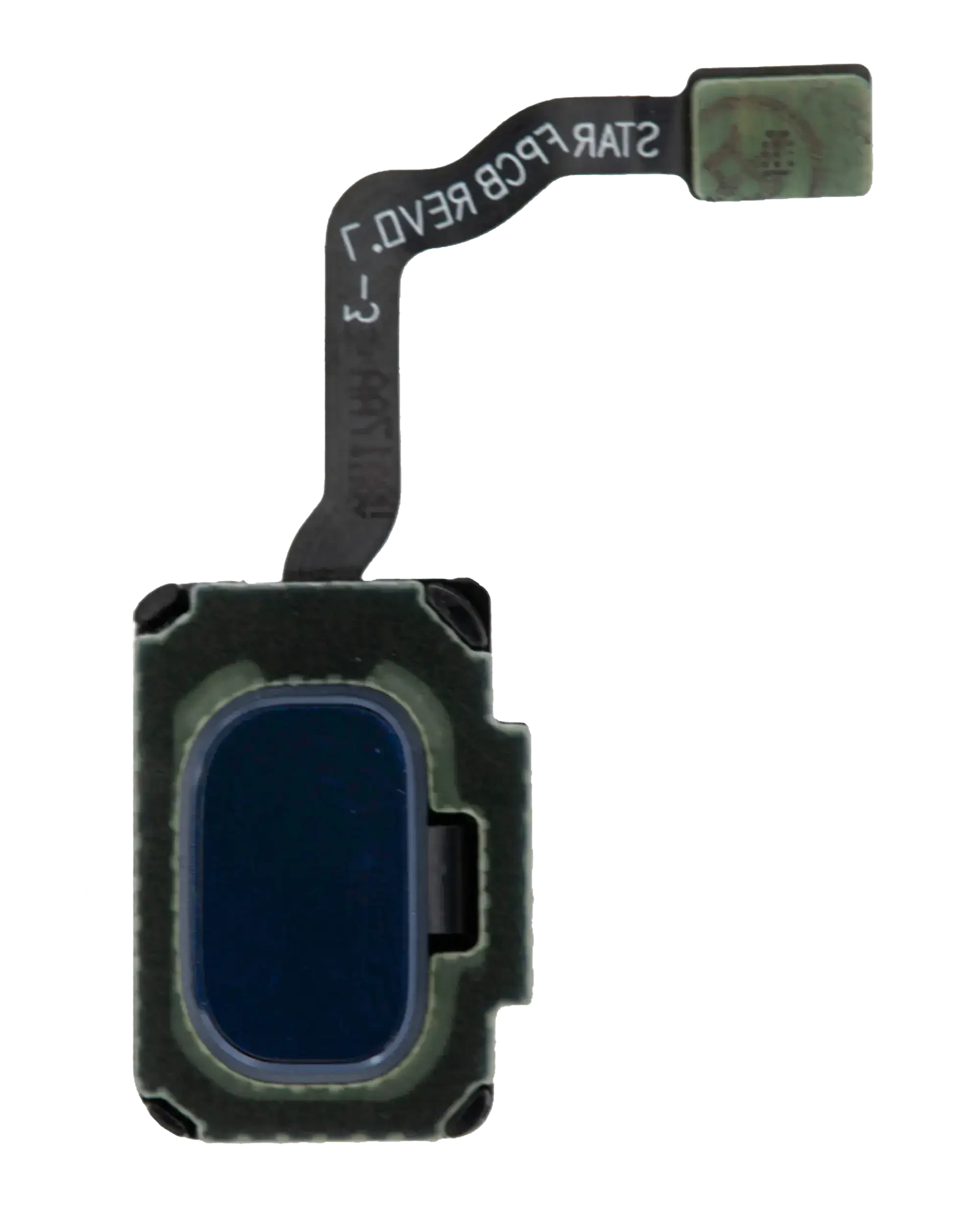 Fingerprint Reader con flat per Samsung Galaxy S9 / S9 Plus (Coral Blu)