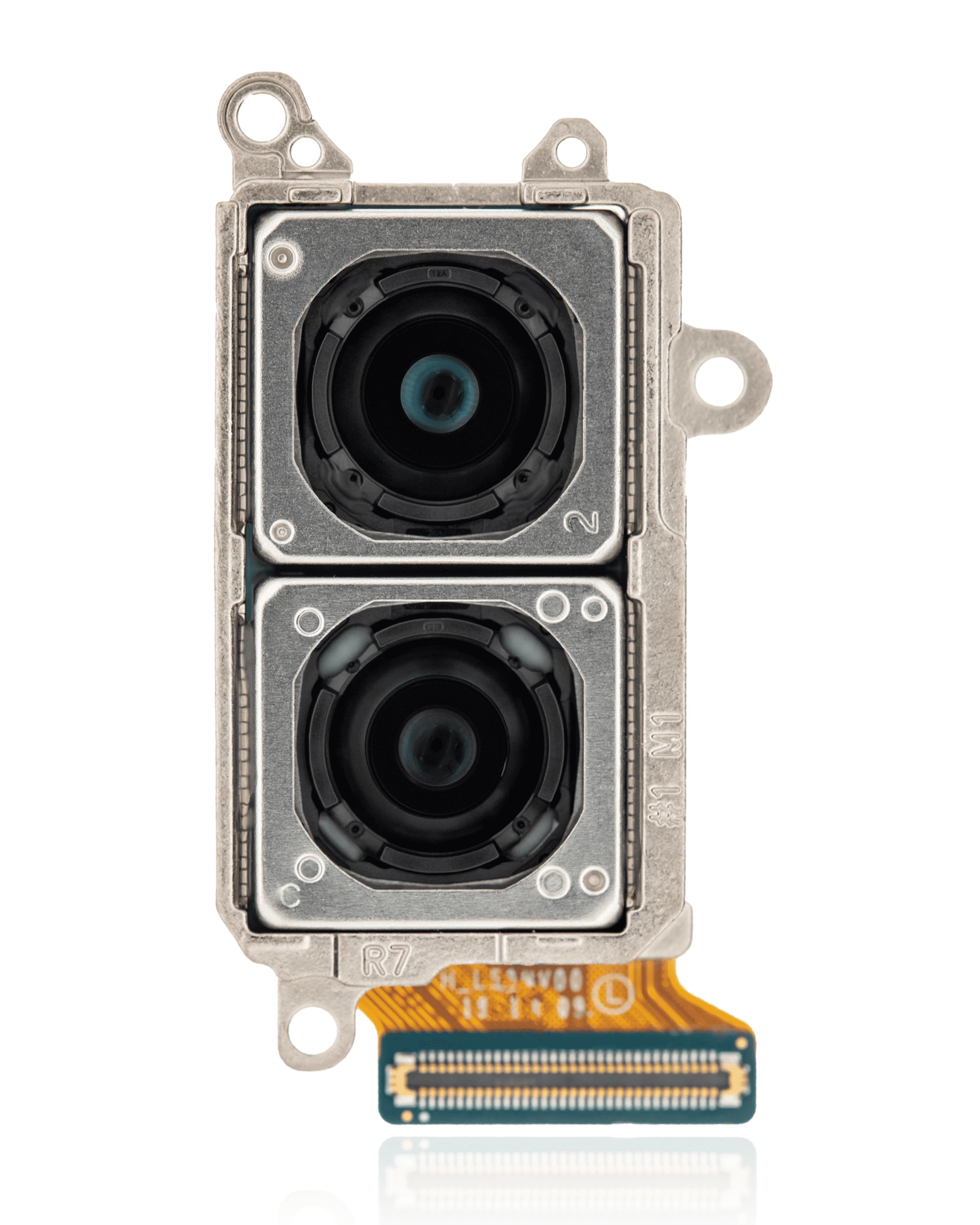 Fotocamera posteriore (Wide e Telephoto) per Samsung Galaxy S21 5G / S21 Plus 5G (International Version)