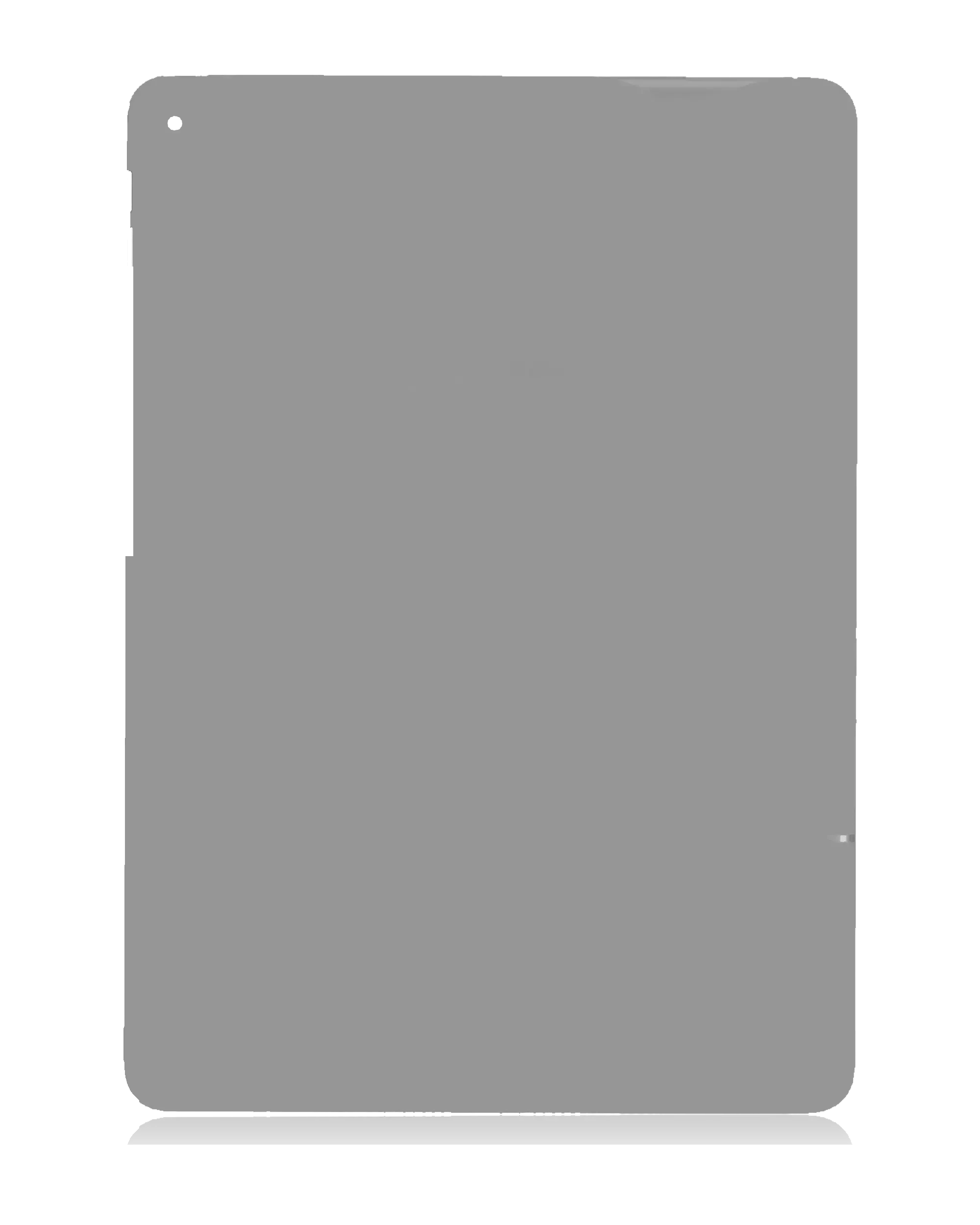 Bottom Skin per iPad Air 2 (Cellular) (Grigio)