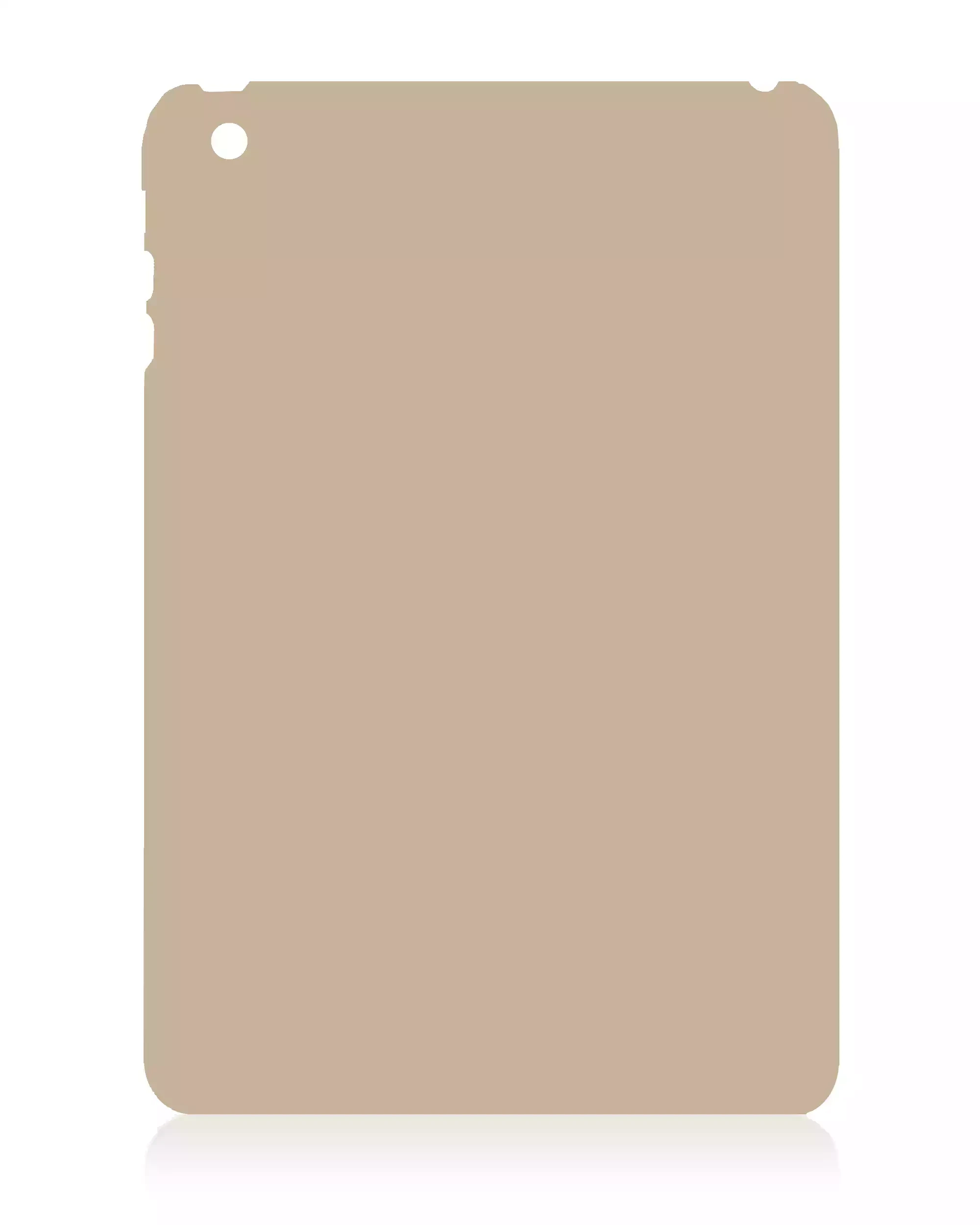 Bottom Skin per iPad Air 2 (solo WiFi) (Oro)