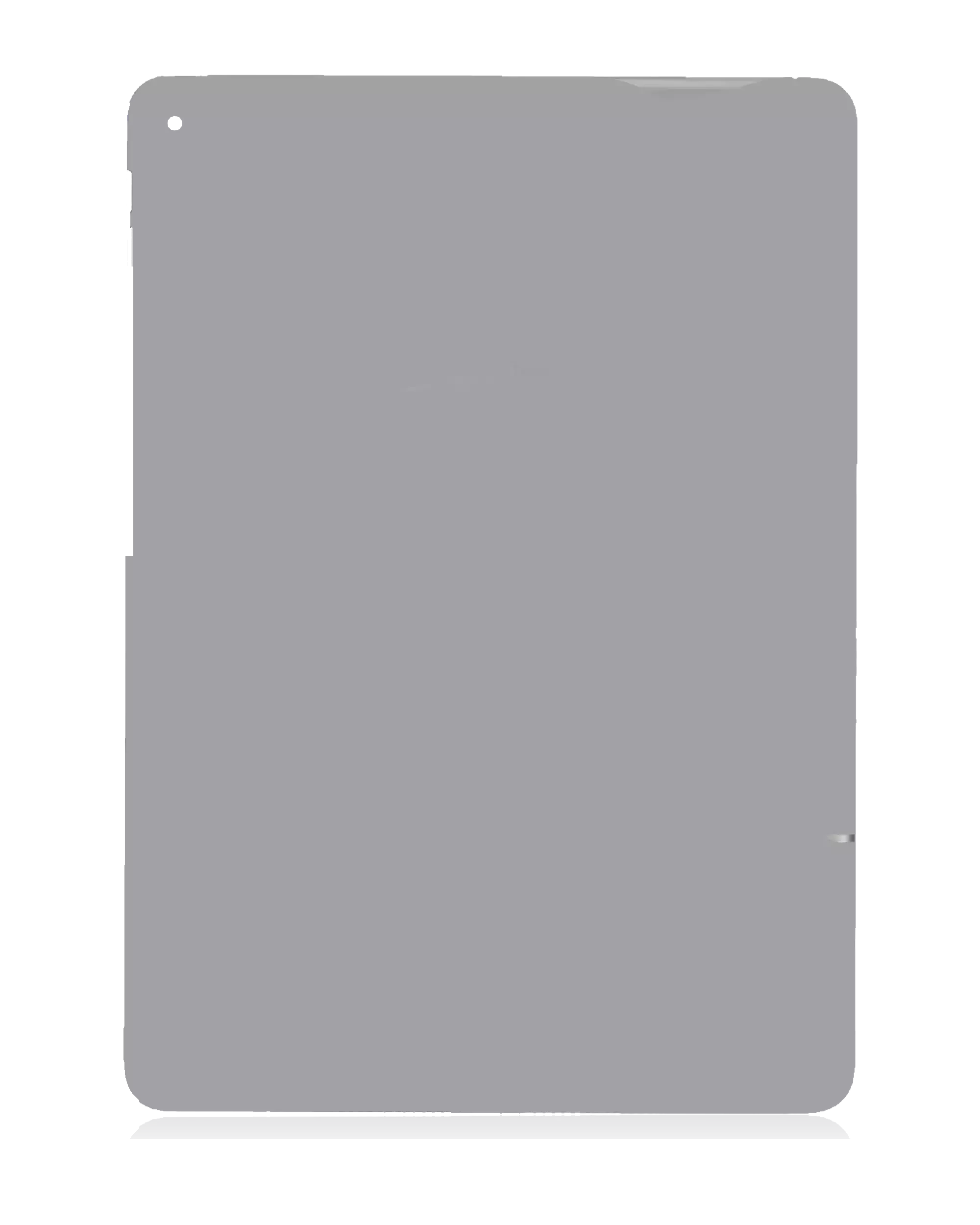 Bottom Skin per iPad Air 2 (Cellular) (Argento)