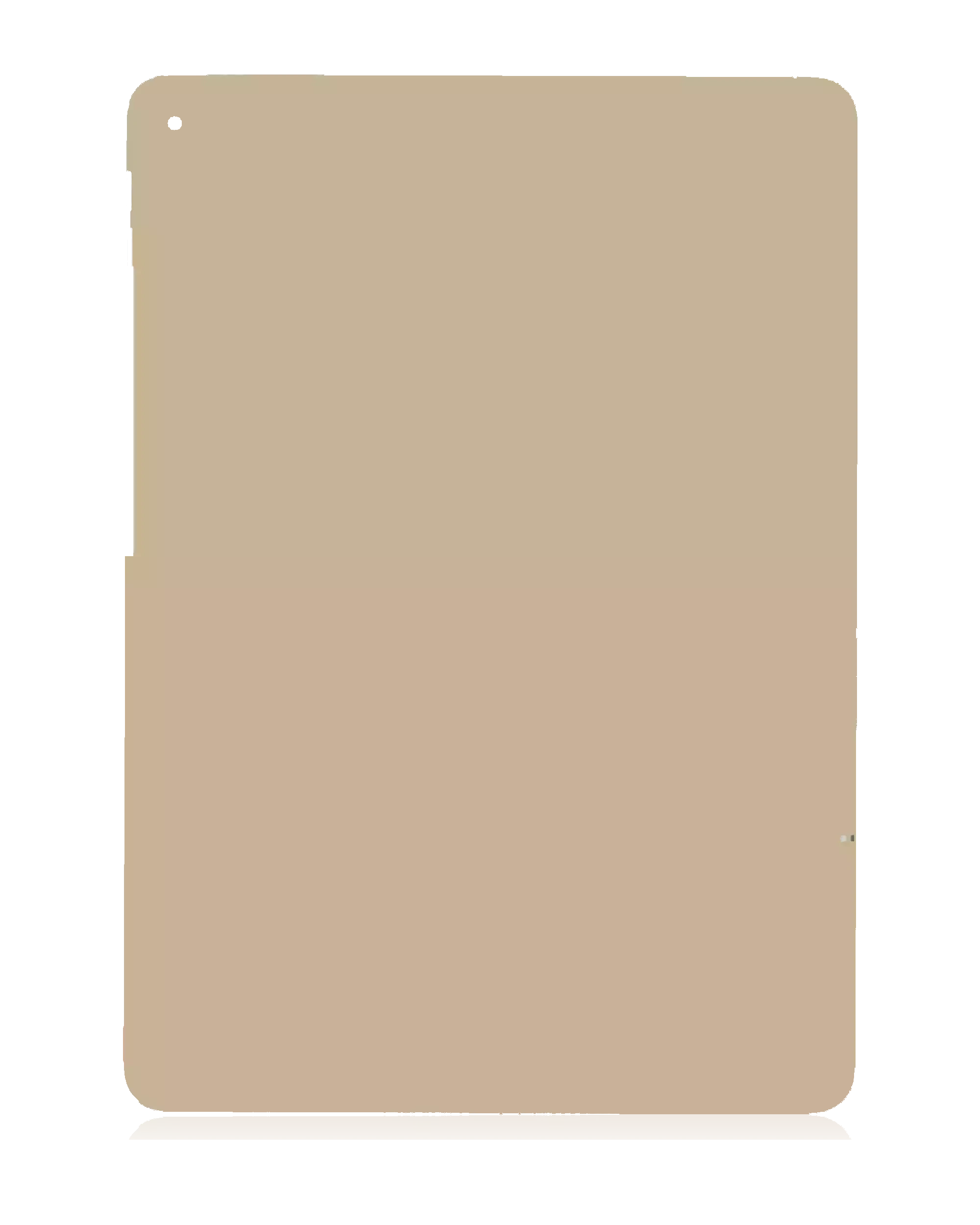 Bottom Skin per iPad Air 2 (Cellular) (Oro)