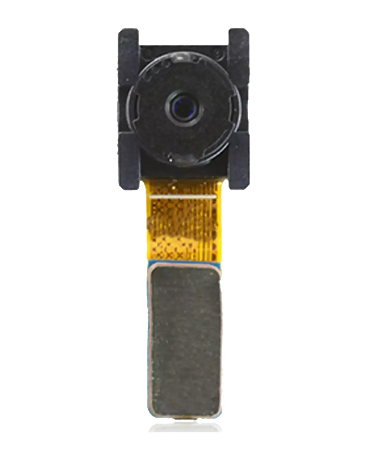 ITN0038536 STRICT