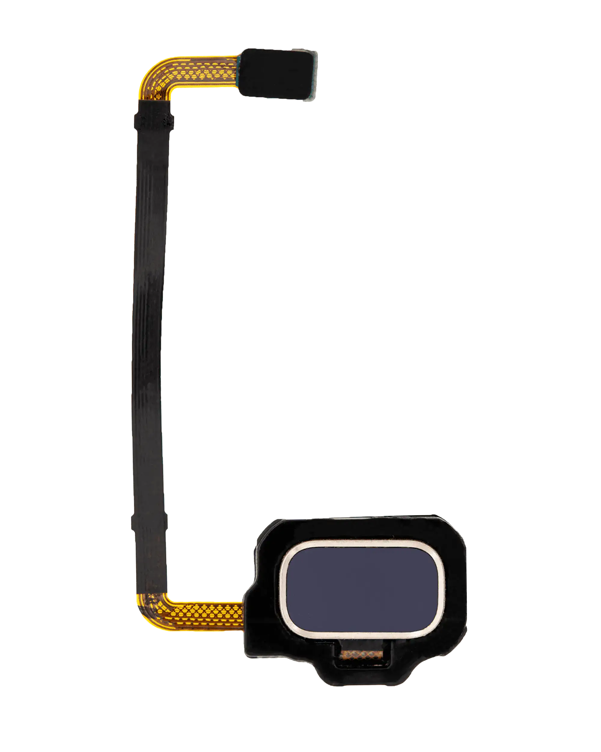 Fingerprint Reader con flat per Samsung Galaxy S8 Active (Blu)