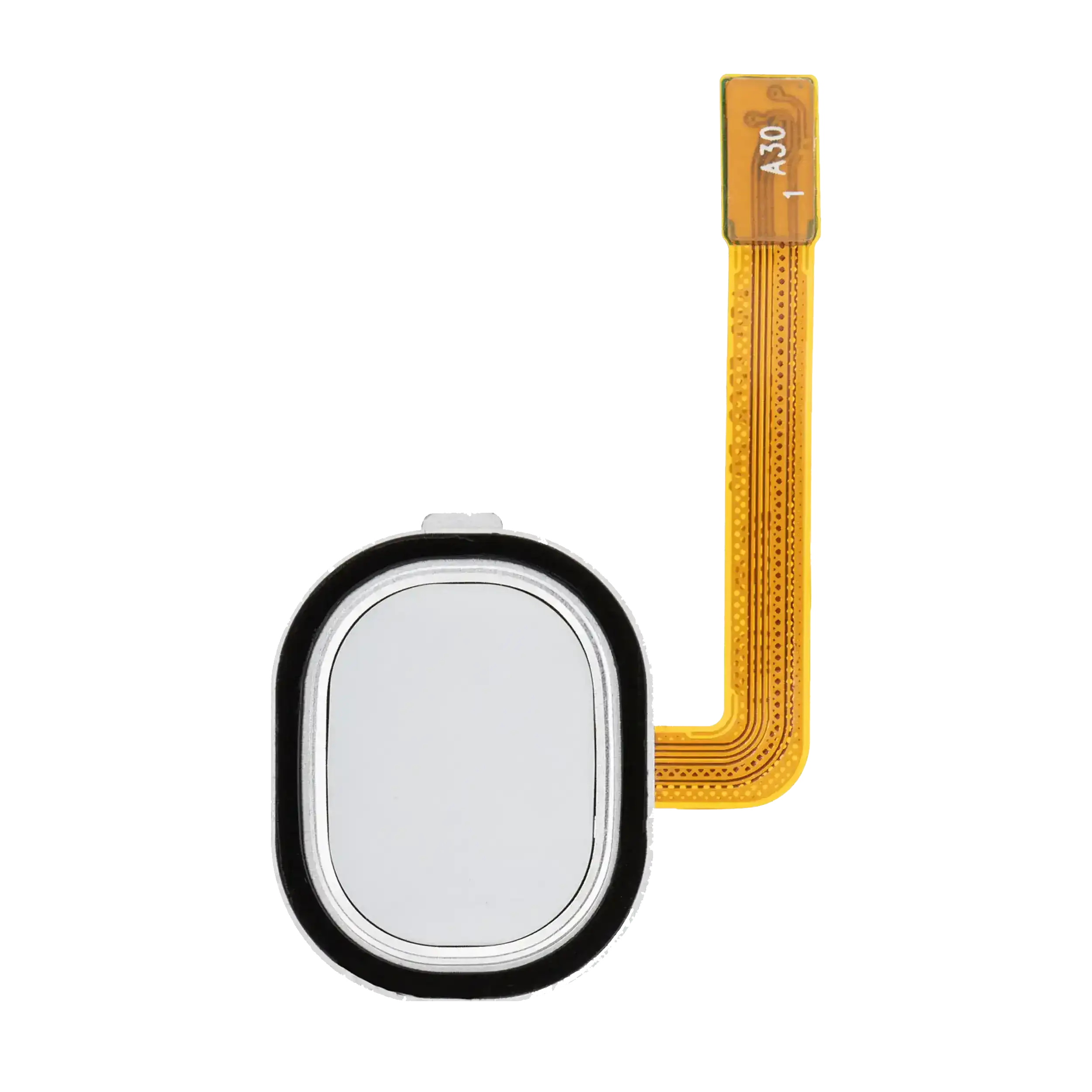 Fingerprint Reader con flat per Samsung Galaxy A30 (A305 / 2019) / A40 (A405 / 2019) (Bianco)