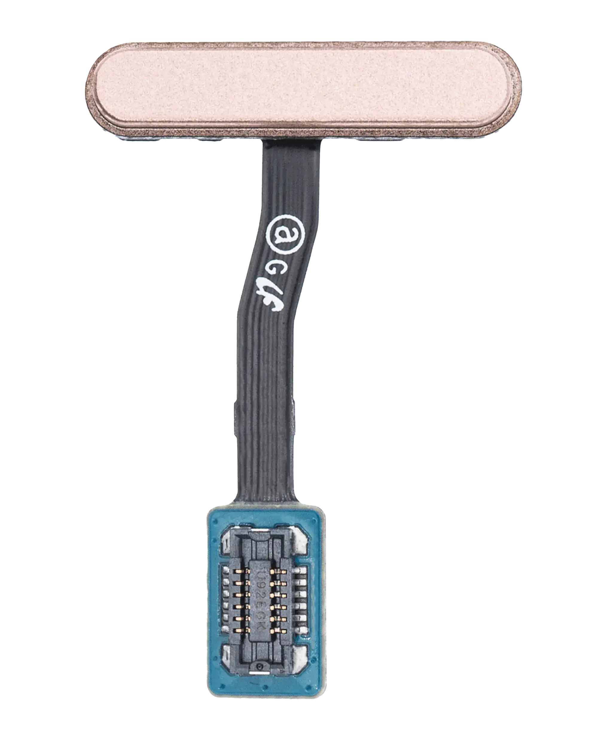 Power e Fingerprint Reader con flat per Samsung Galaxy S10E (Flamingo Rosa)