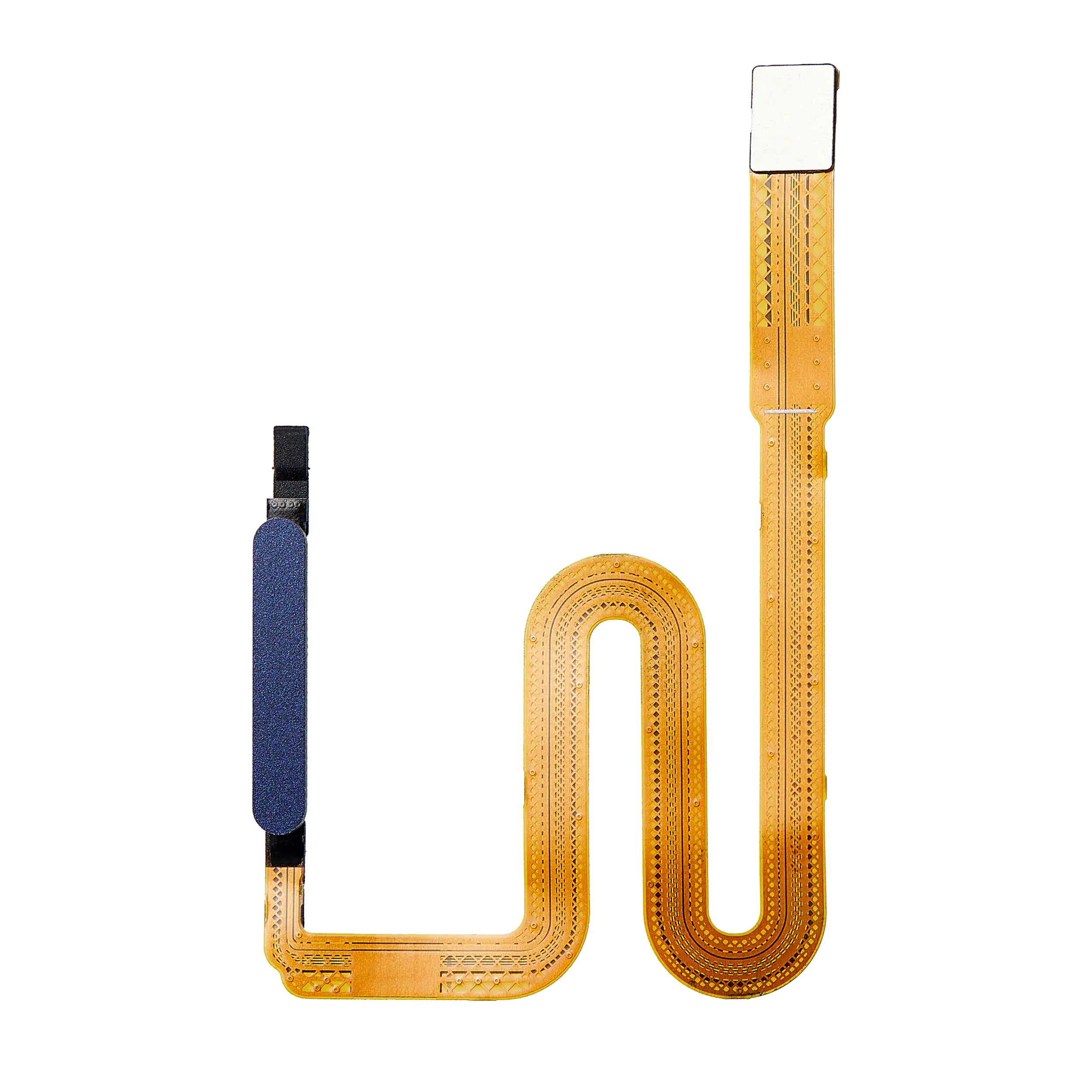 Fingerprint Reader con flat per Samsung Galaxy A03S (A037F / 2021) (Blu)