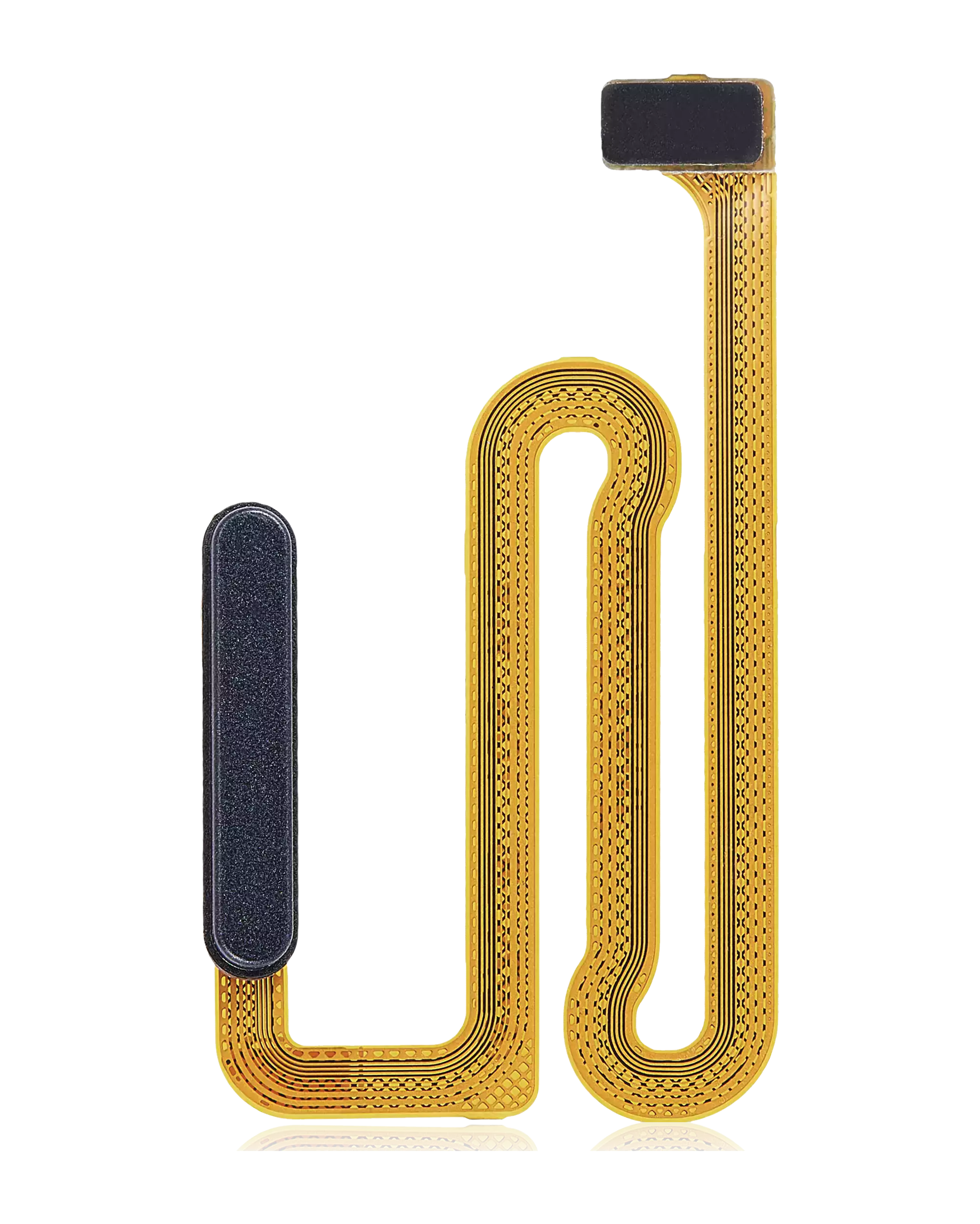 Fingerprint Reader con flat per Samsung Galaxy A14 5G (A146B / 2023) (Nero)