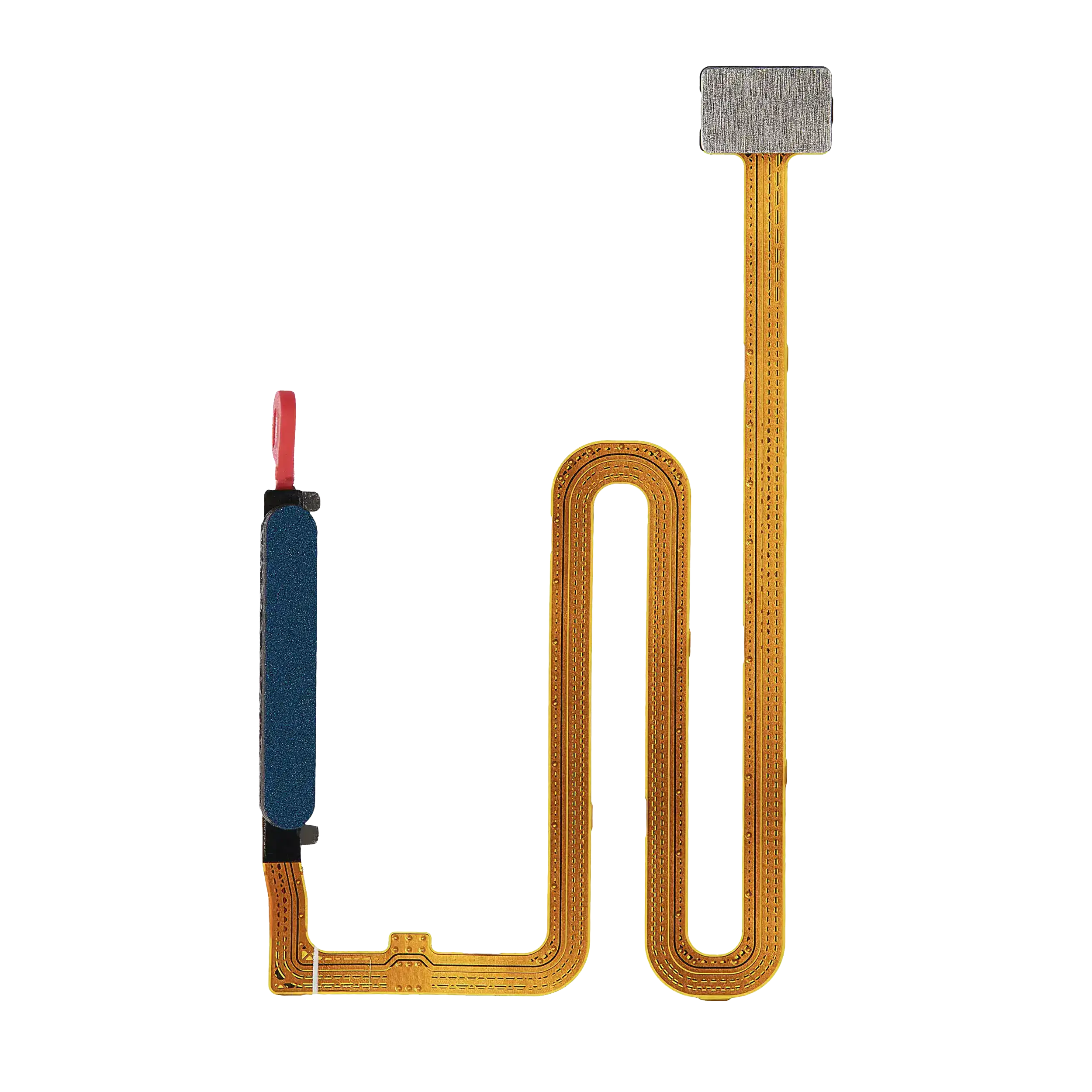 Fingerprint Reader con flat per Samsung Galaxy A03S (A037U / 2021) (Blu)