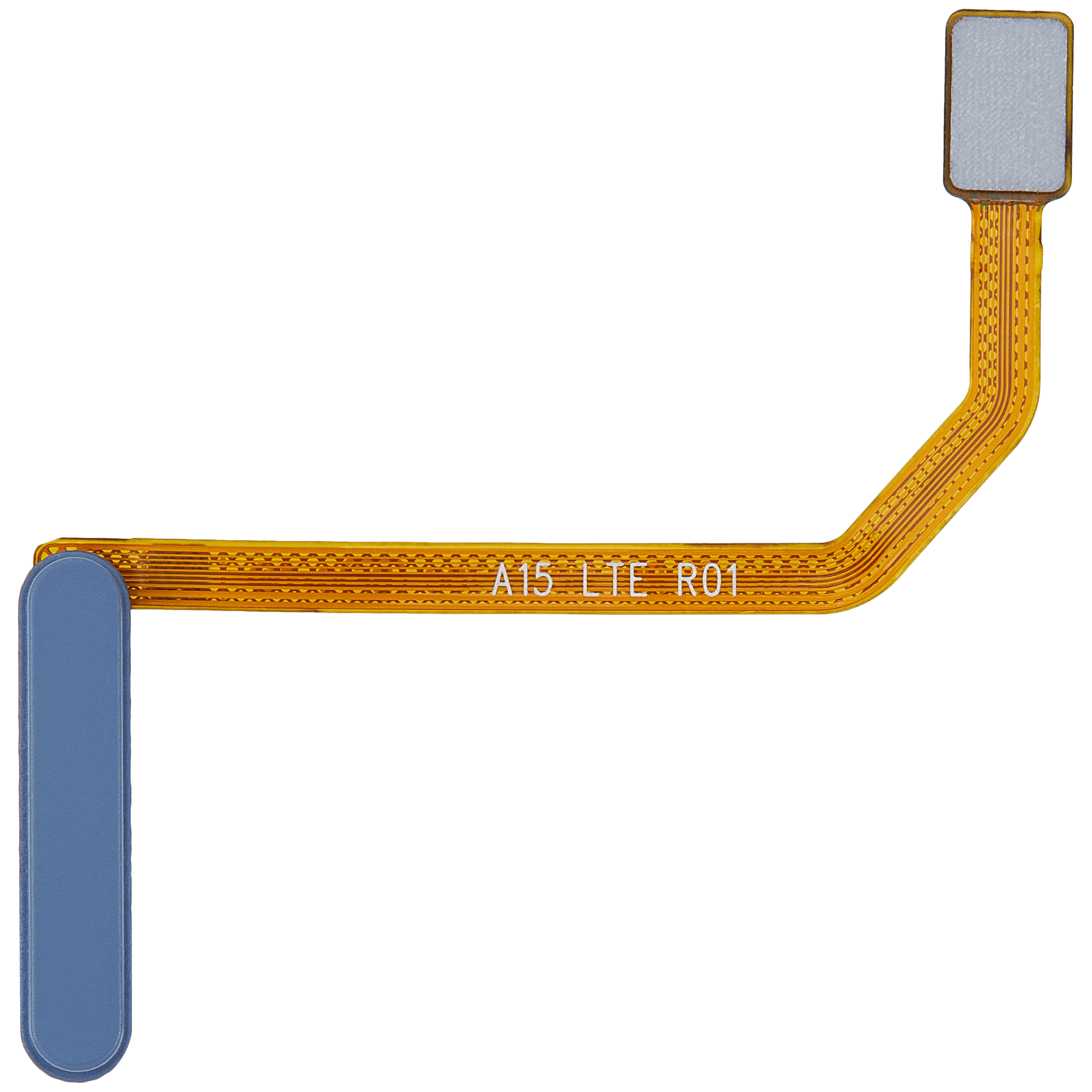 Fingerprint Reader con flat per Samsung Galaxy A15 (A155 / 2023) (Optimistic Blu)
