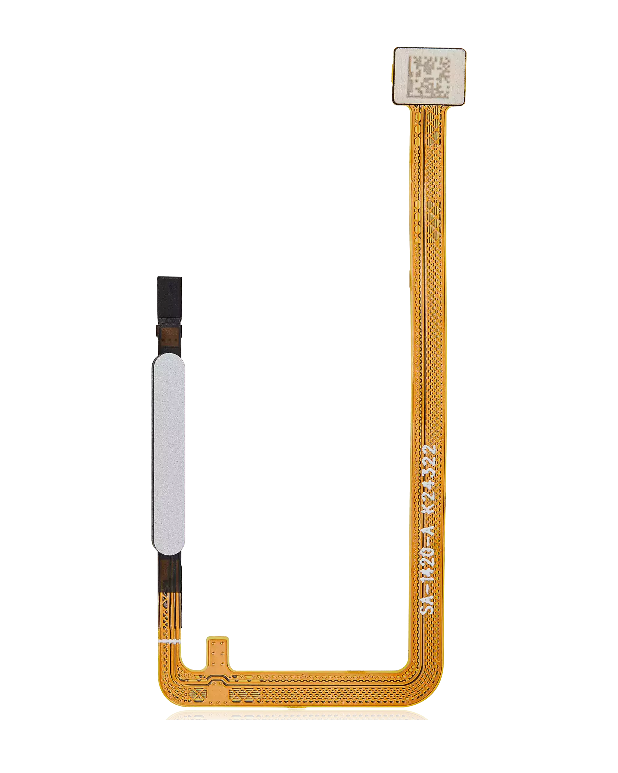 Fingerprint Reader con flat per Samsung Galaxy A06 (A065 / 2024) (Premium) (Bianco)