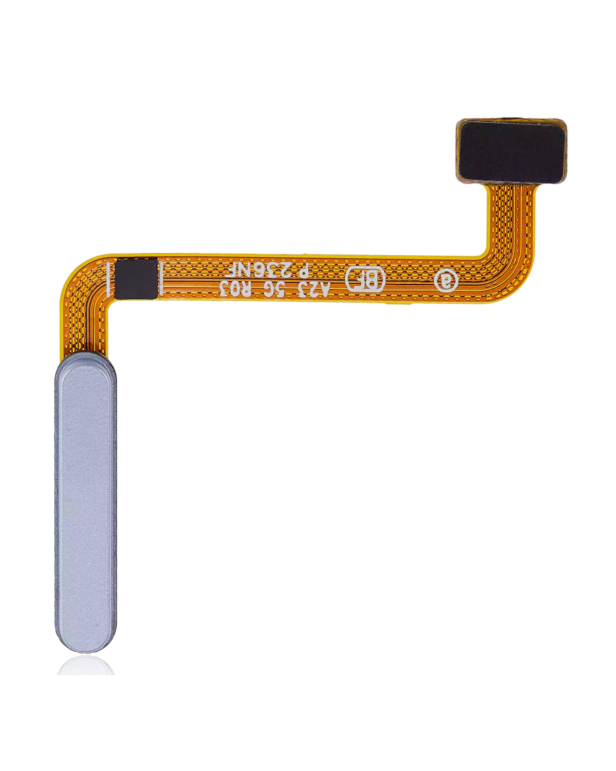 Fingerprint Reader con flat per Samsung Galaxy A23 5G (A236 / 2022) (Blu)
