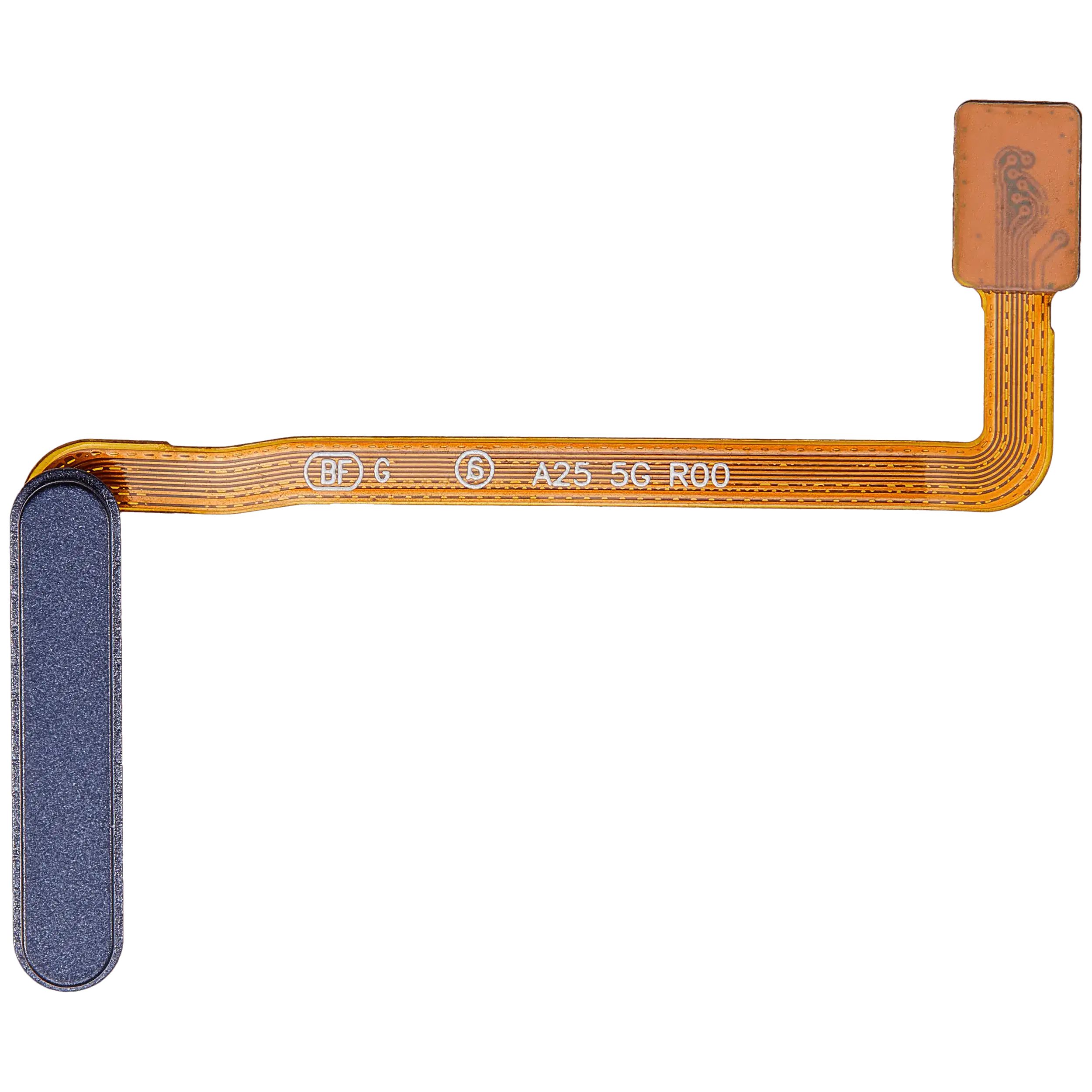 Fingerprint Reader con flat per Samsung Galaxy A25 5G (A256 / 2023) (Premium) (Brave Nero)