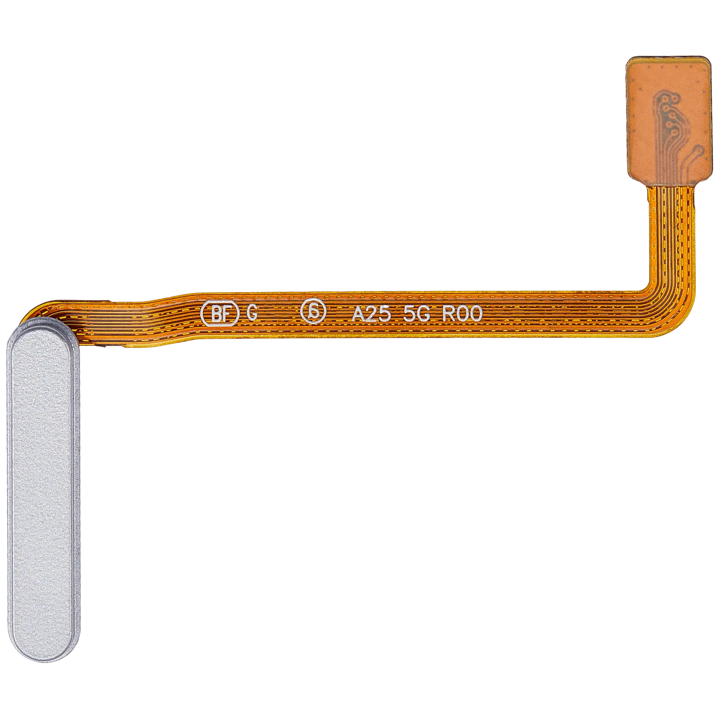 Fingerprint Reader con flat per Samsung Galaxy A25 5G (A256 / 2023) (Premium) (Fantasy Blu)