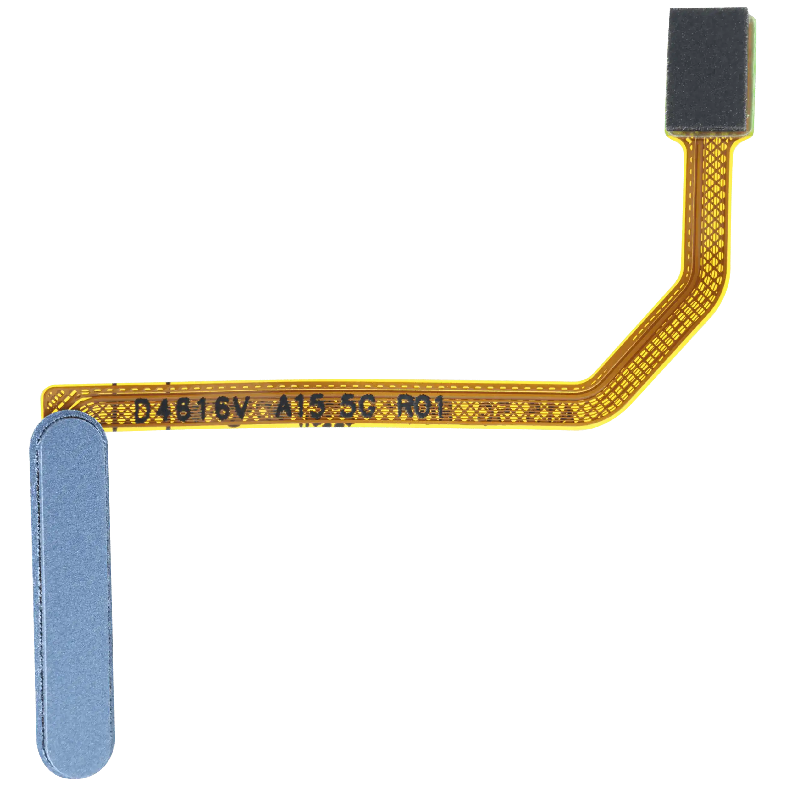 Fingerprint Reader con Power flat per Samsung Galaxy A15 5G (A156 / 2023) (Optimistic Blu)