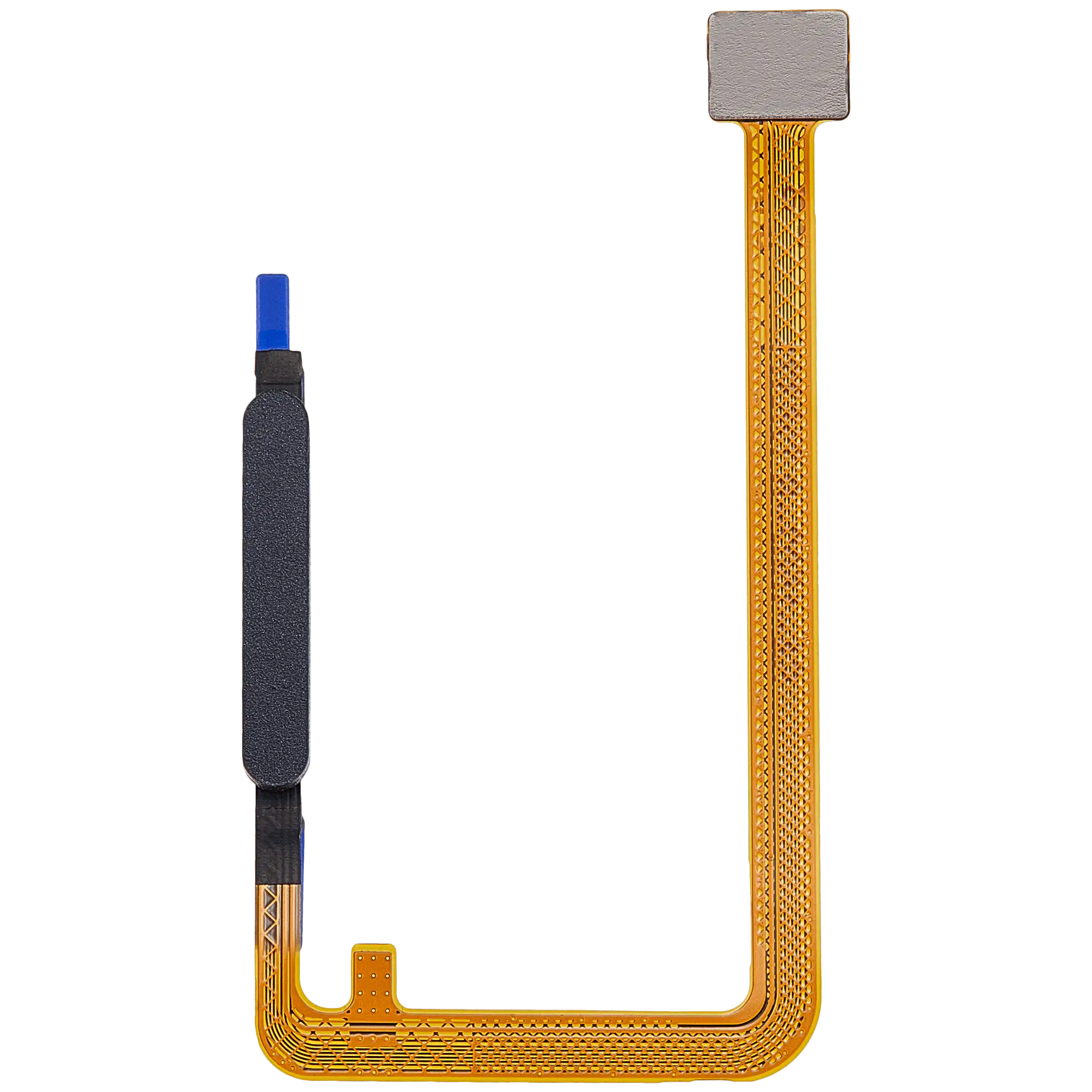 Fingerprint Reader con flat per Samsung Galaxy A07 4G (A075 / 2025) (Grigio)